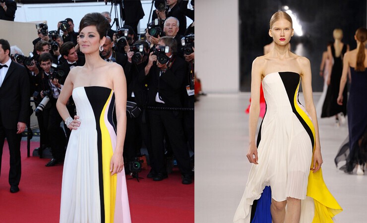 palme d'or