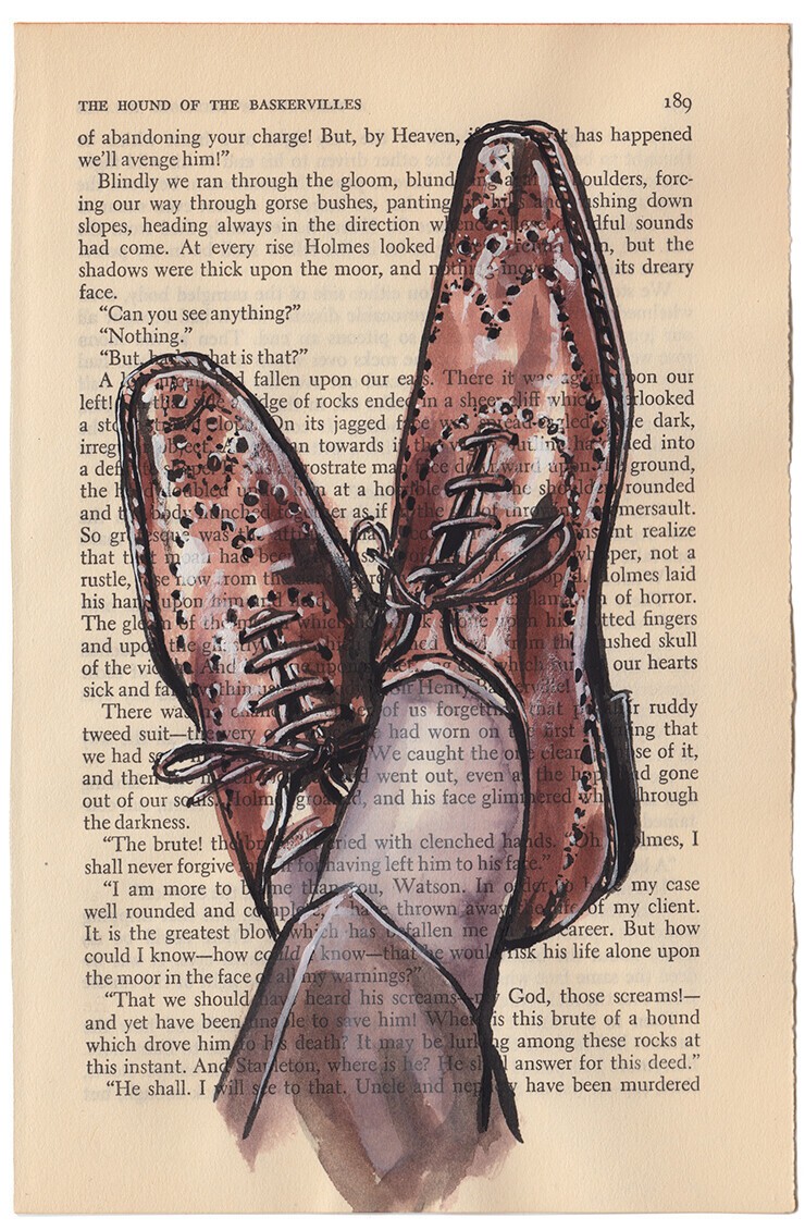 Matthew Miller illustrations