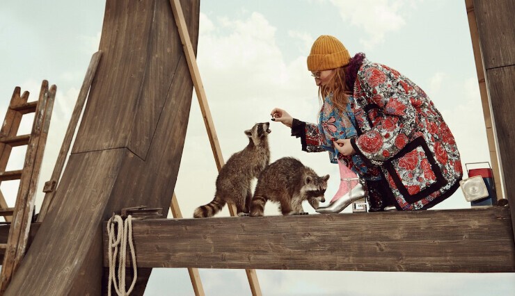 noah's ark