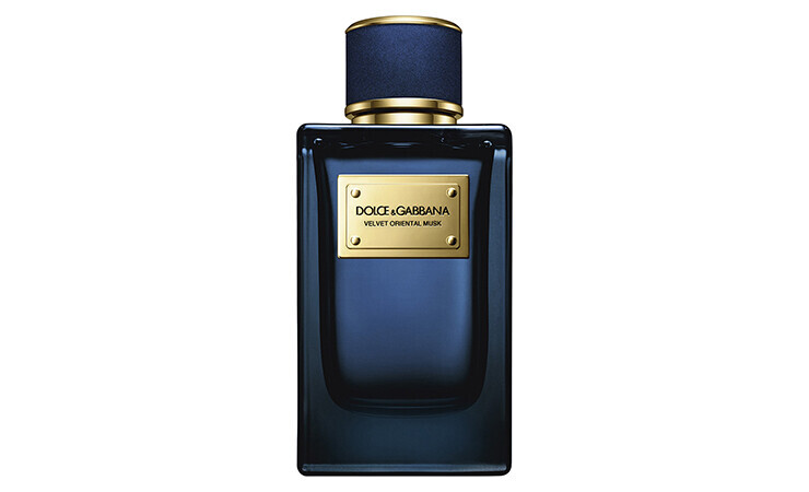 dolce gabbana velvet