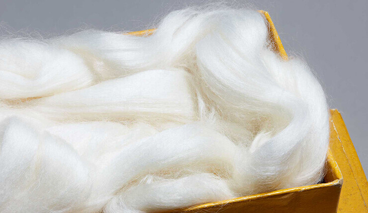 sea island cotton