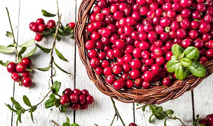 cranberry oil