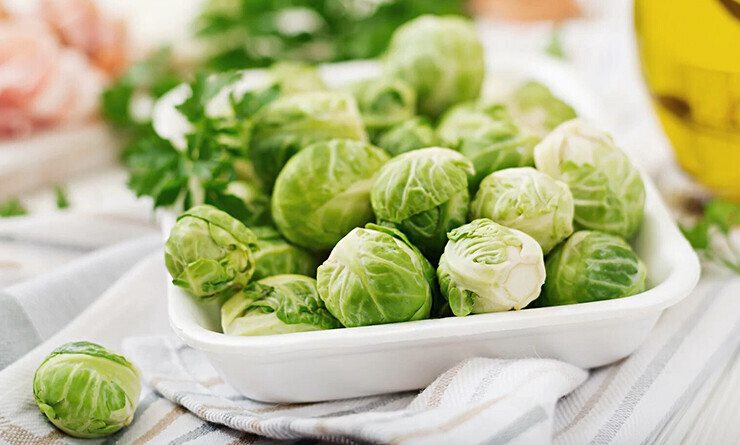 Cabbage