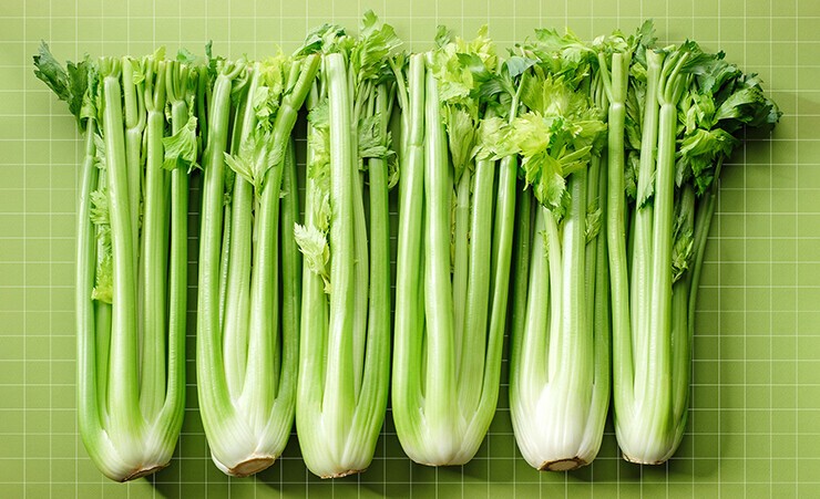 Celery