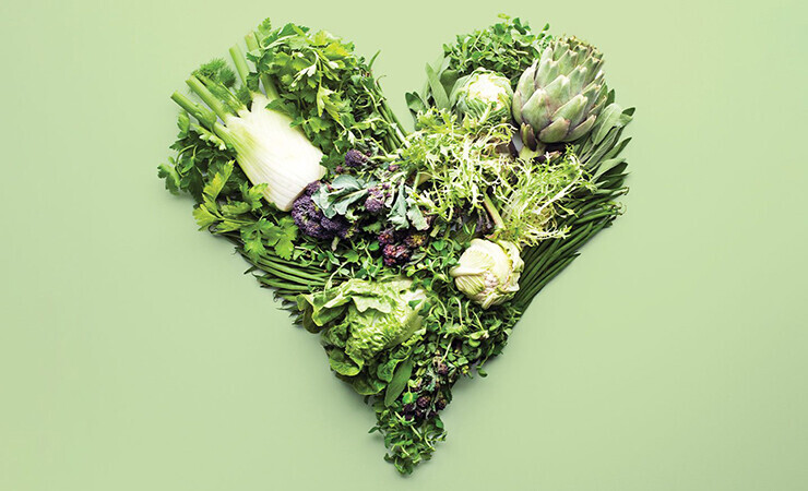 ketogenic diet