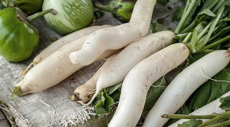 Daikon