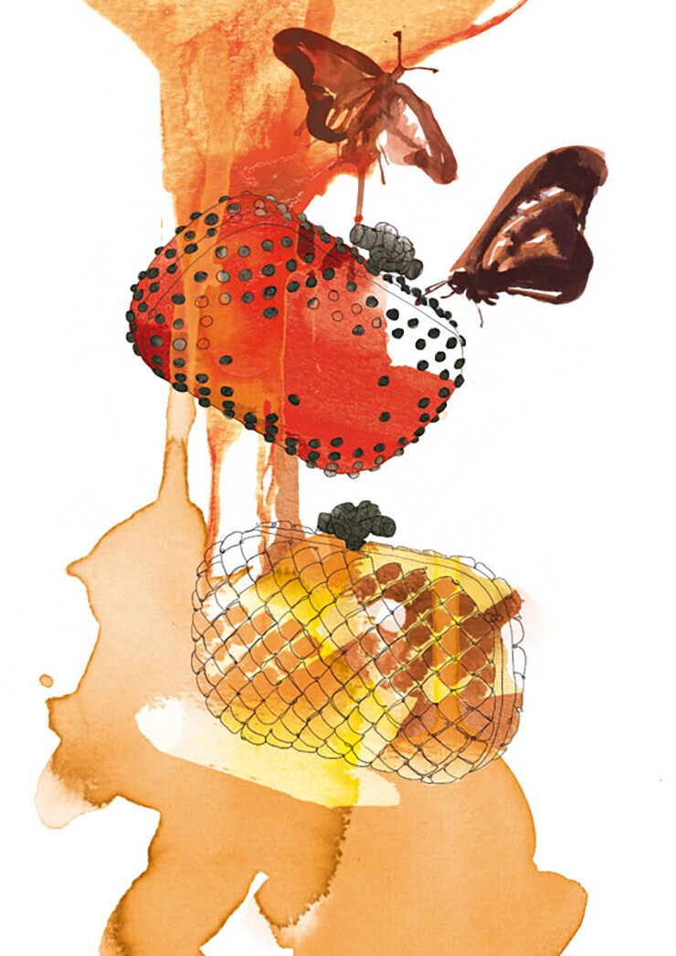 Judit García-Talavera illustrator
