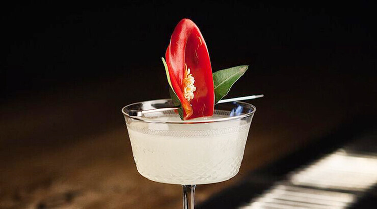 Spicy Fifty cocktail recipe