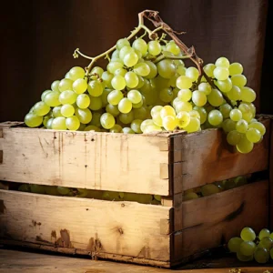 Vermentino grape