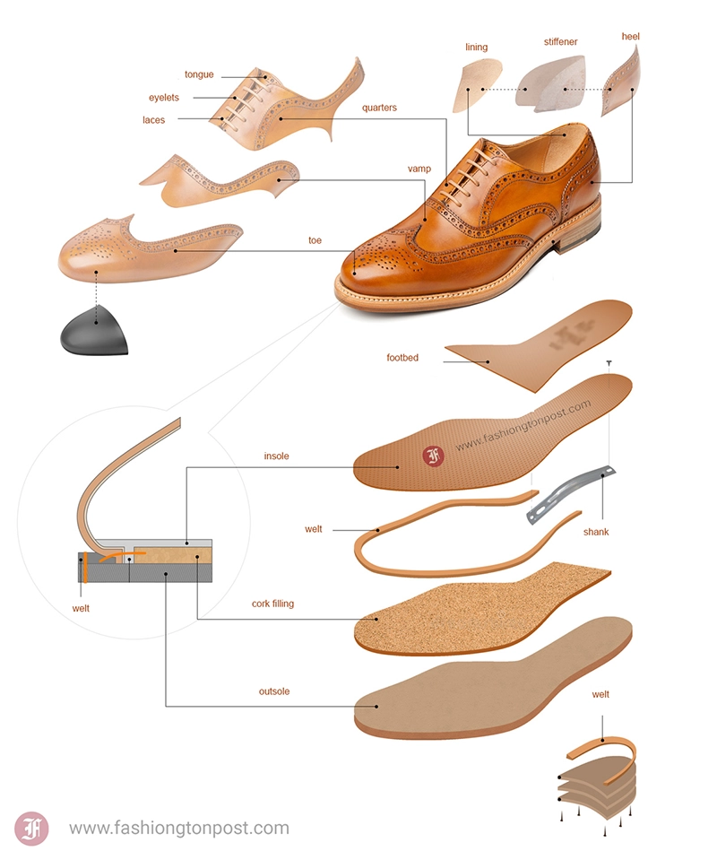 shoe anatomy