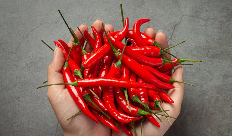 spicy food diet