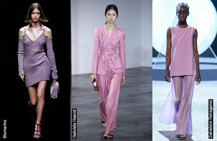 Lavender color trend