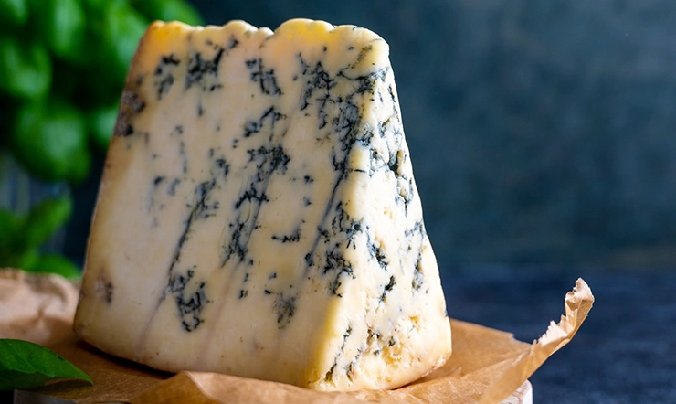 Moldy Cheeses