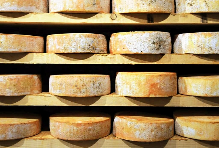 Accasciato cheese