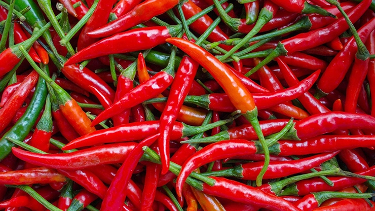spicy food calory burn