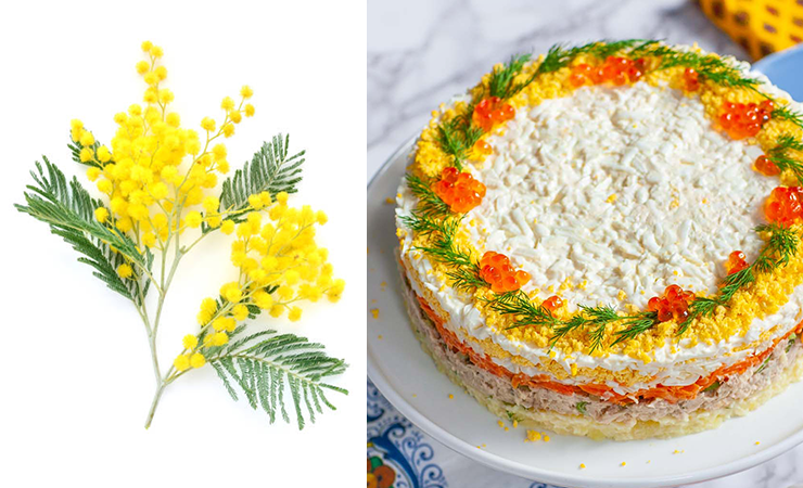 russian Mimosa Salad recipe