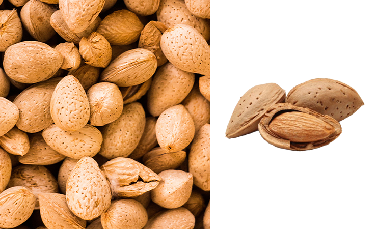 Almond of Mallorca