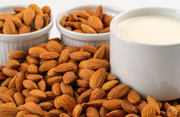 Almond of Mallorca