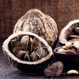 Brazil Nut