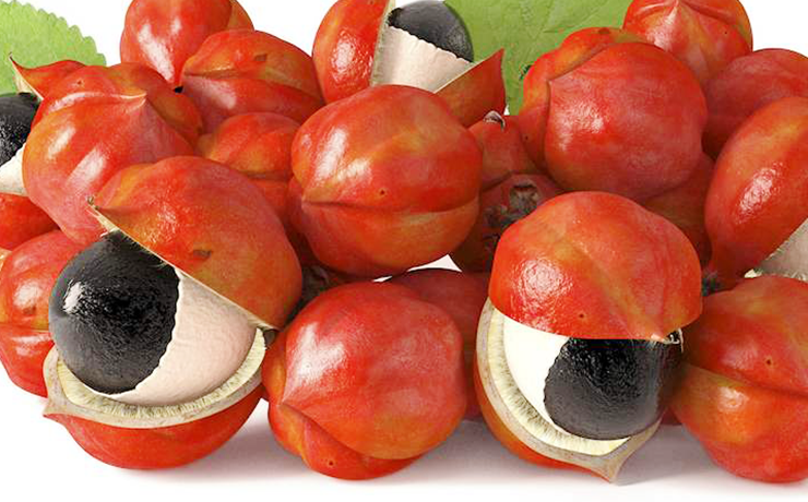 Guarana