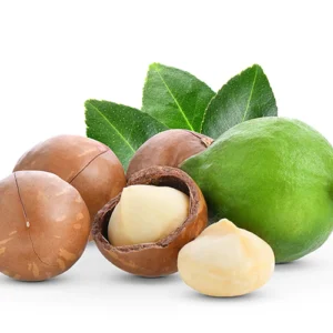 Macadamia nuts