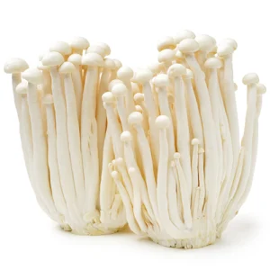 Enokitake