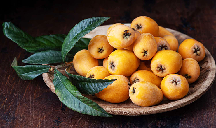 Loquat