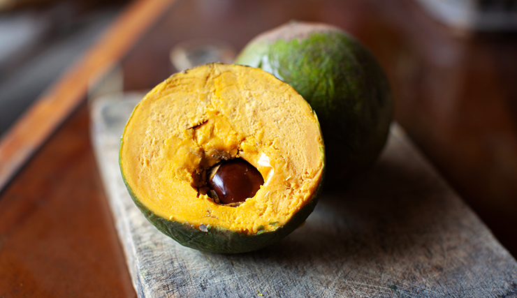 Lucuma fruit