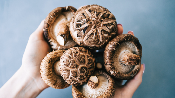 Shiitake mushrooms