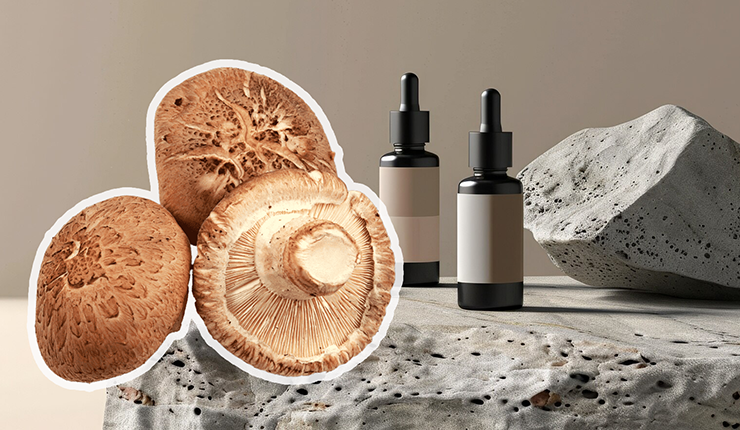 Shiitake Mushrooms in Skincare