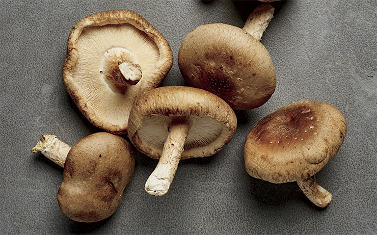 Shiitake Mushrooms in Skincare