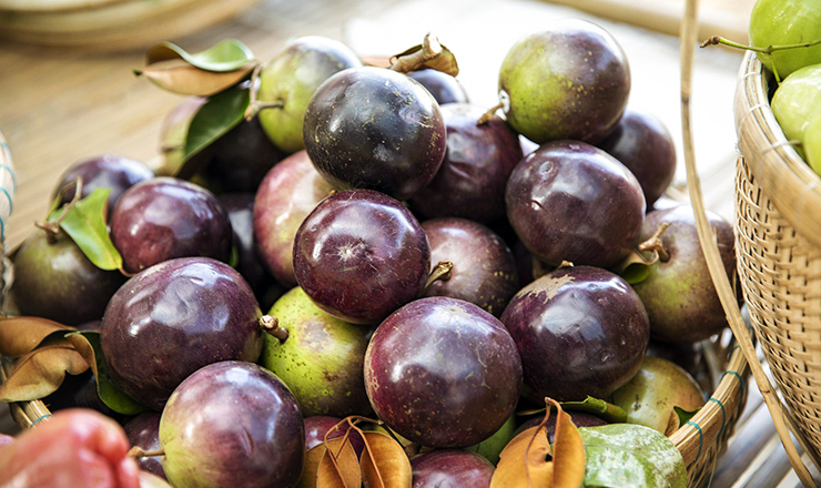 Star Apple