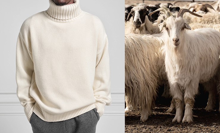 Cashmere