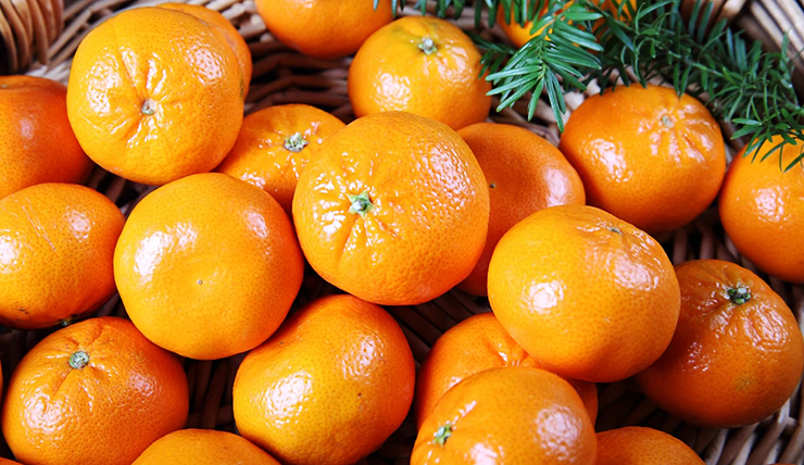 Clementine is
