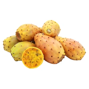Fragosika is