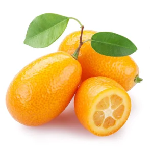 Kumquat is