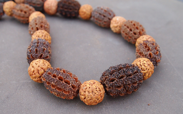 Quandong is