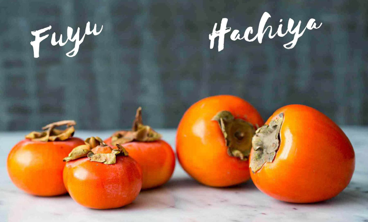 Persimmon is