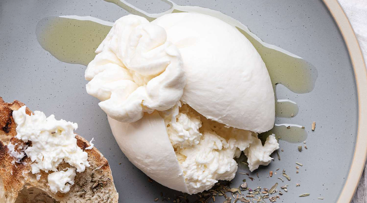 Burrata cheese