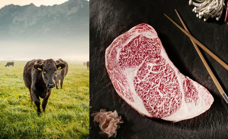 Wagyu Beef is