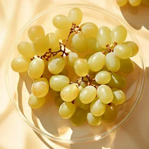 palomino fino wine