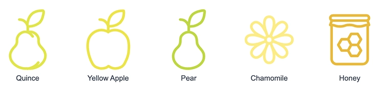 Chenin Blanc grape variety